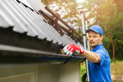 Gutter Protection Experts